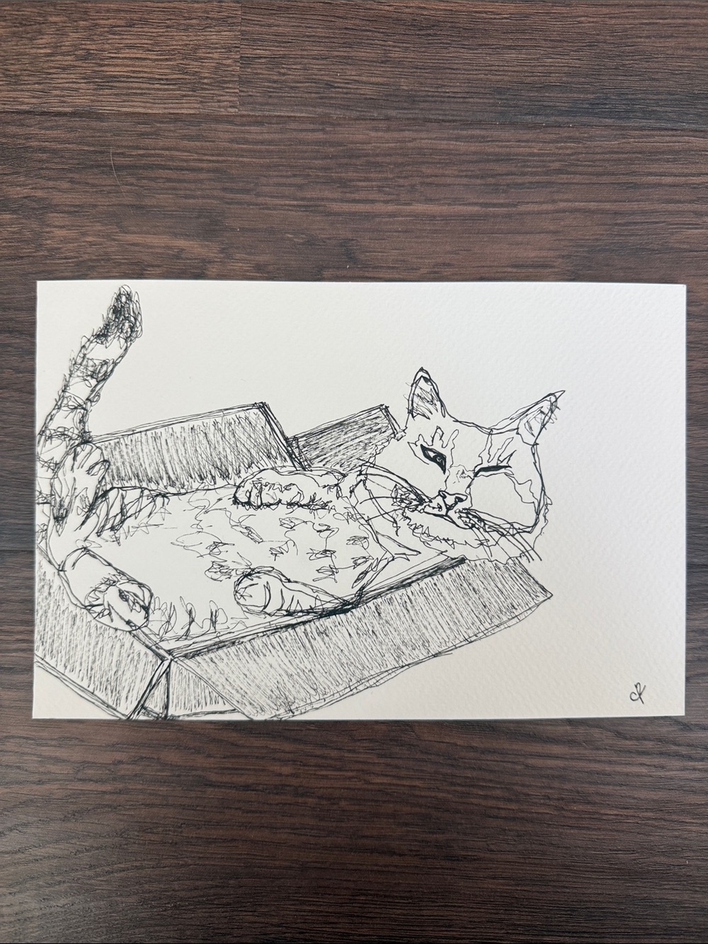 Original, hand-drawn, Minimalist Black & White Cat Sketch/Art